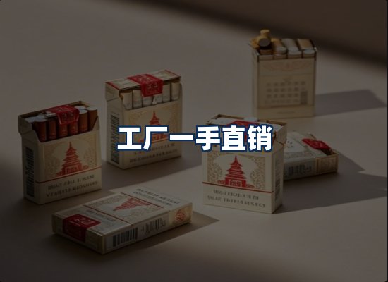 专业团队办公环境